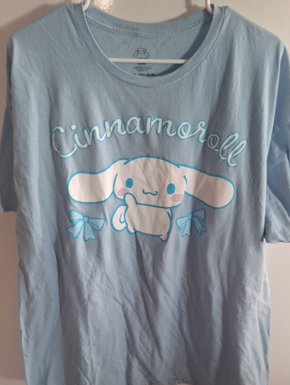 Plus Size Cinnamoroll Tshirt